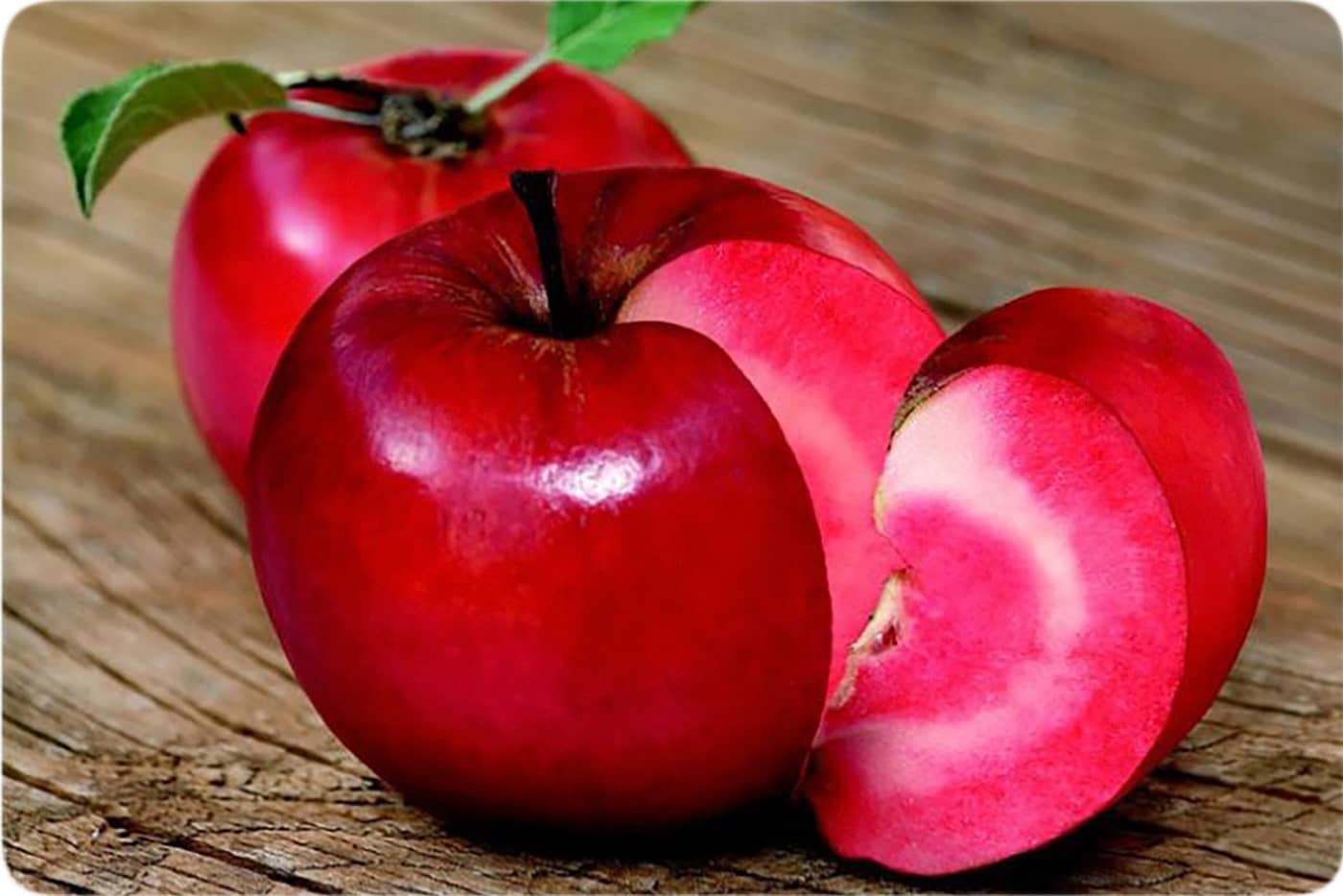 نهال سیب توسرخ
