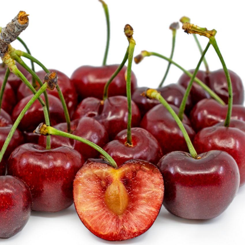 شرایط اقلیمی نهال گیلاس خوشه ای